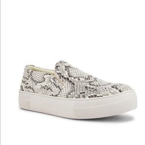 Steve Madden Gills slip on sneakers